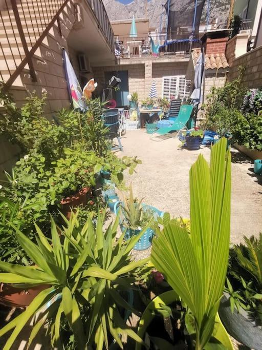 Makarska Blue Oasis Apartman 2-6 Exterior foto